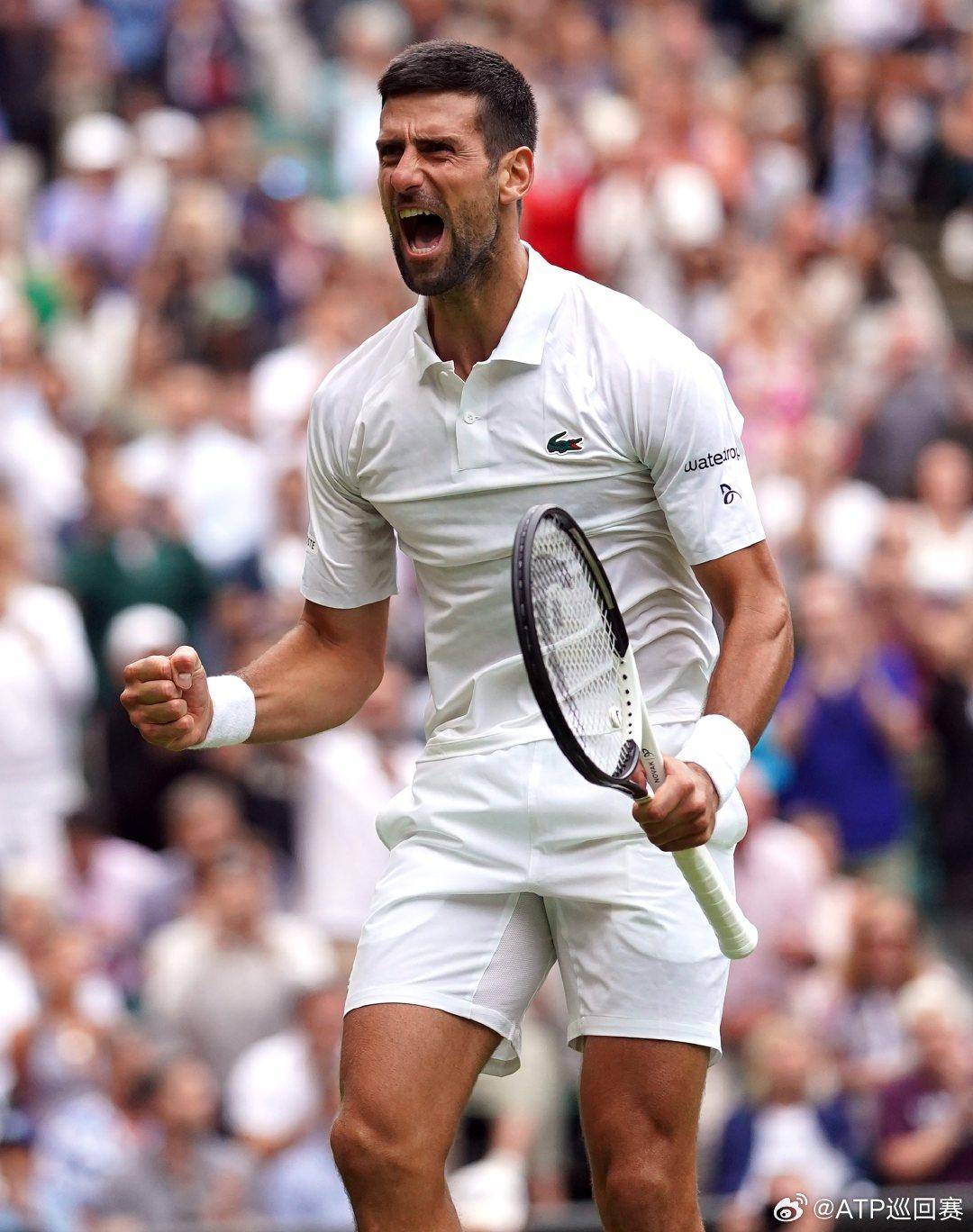 又能组织进 又能组织进